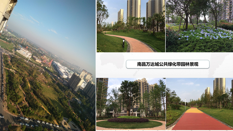 南昌萬(wàn)達(dá)公共綠化_5.jpg